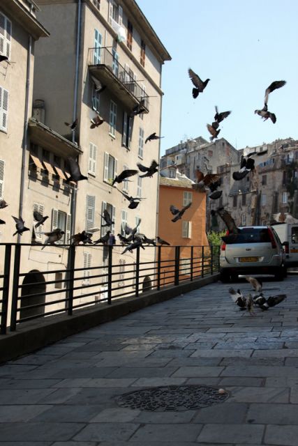 2010 07 04 jeanmarcperfetti.com 117.JPG